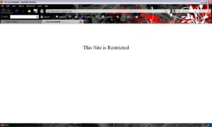 Screen shot of YouTube page saying This Site is Restricted