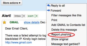 screenshot of the scrolling menu mentioned above, with "Report phishing" circlled