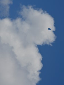 Is this a MOOC, a hoax, or just another weather-related phenomenon?