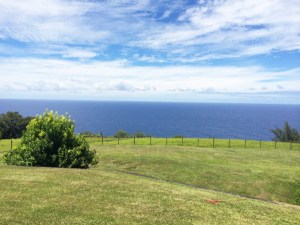 We...gazed upon the uninterrupted three-sixty view of the surrounding forest and ocean. 